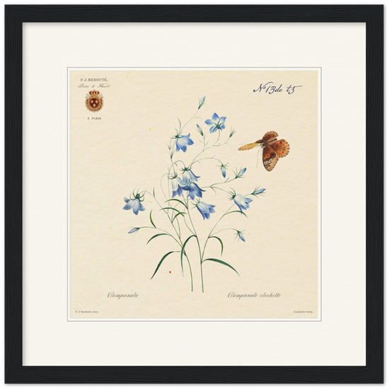 Pierre-Joseph Redouté, floral, flowers, art, wall art, flower prints, botanical, illustration, plants, roses