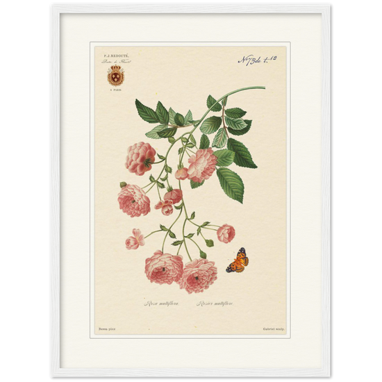 Pierre-Joseph Redouté, floral, flowers, art, wall art, flower prints, botanical, illustration, plants, roses