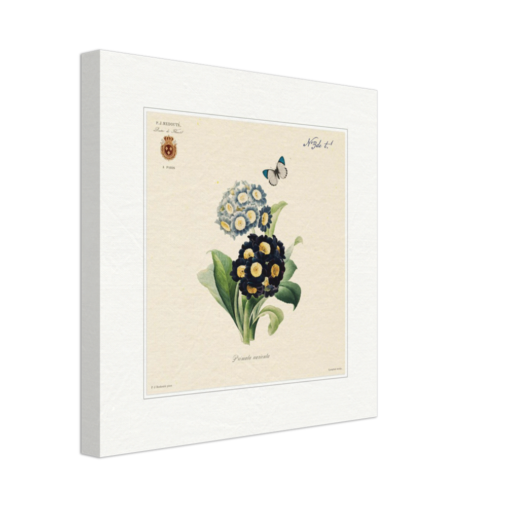 Pierre-Joseph Redouté, floral, flowers, art, wall art, flower prints, botanical, illustration, plants, roses