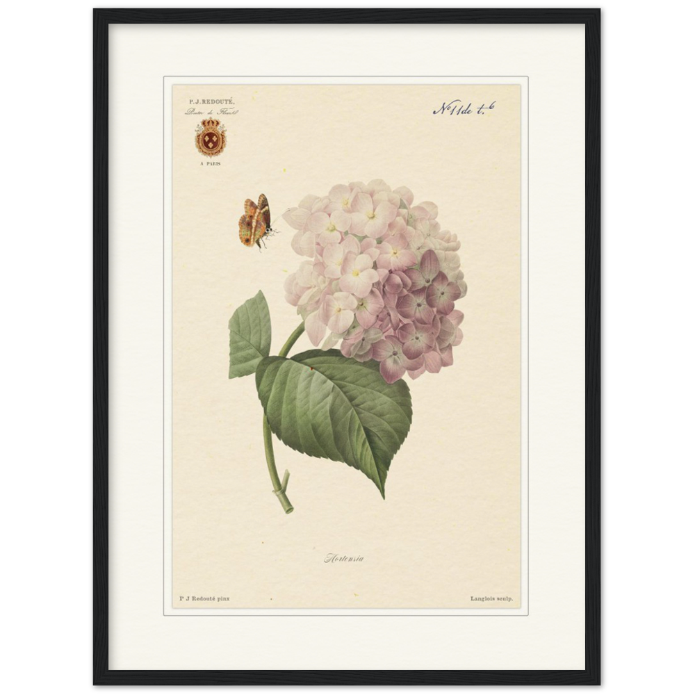 Pierre-Joseph Redouté, floral, flowers, art, wall art, flower prints, botanical, illustration, plants, roses