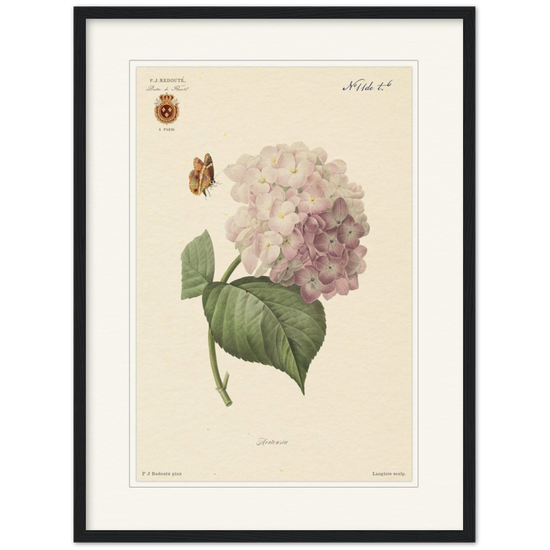 Pierre-Joseph Redouté, floral, flowers, art, wall art, flower prints, botanical, illustration, plants, roses