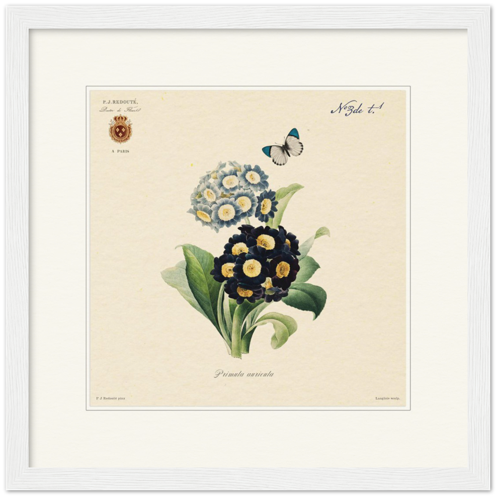 Pierre-Joseph Redouté, floral, flowers, art, wall art, flower prints, botanical, illustration, plants, roses