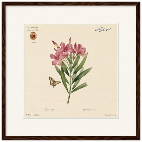 Oleander flowers by Redouté, édition classique