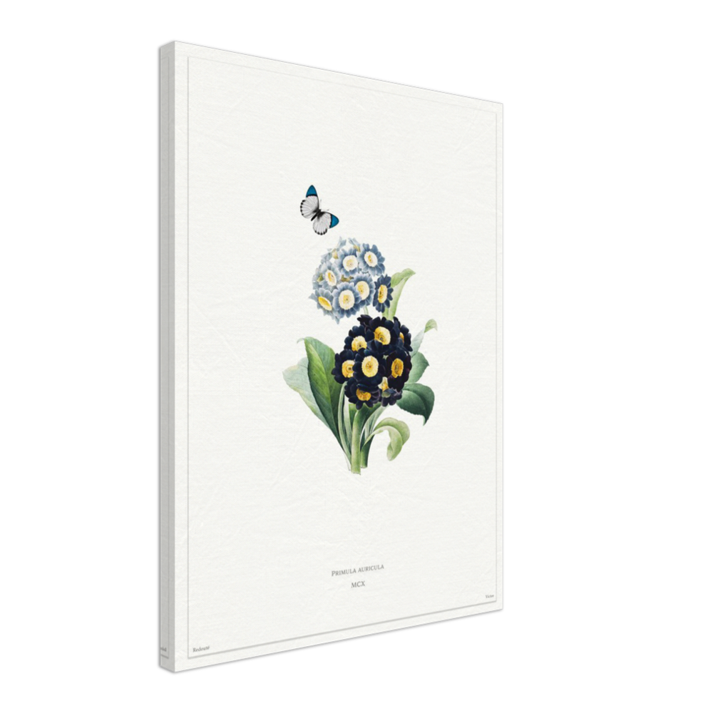 Pierre-Joseph Redouté, floral, flowers, art, wall art, flower prints, botanical, illustration, plants, roses