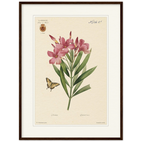 Pierre-Joseph Redouté, floral, flowers, art, wall art, flower prints, botanical, illustration, plants, roses