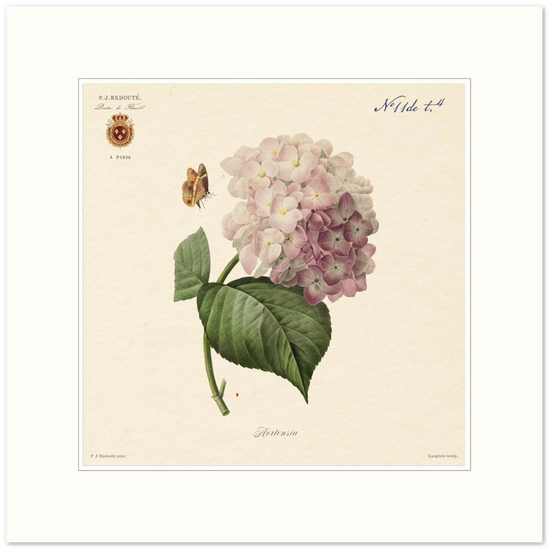 Pierre-Joseph Redouté, floral, flowers, art, wall art, flower prints, botanical, illustration, plants, roses