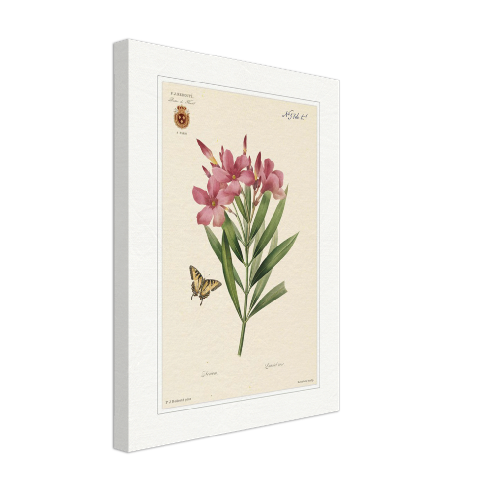 Pierre-Joseph Redouté, floral, flowers, art, wall art, flower prints, botanical, illustration, plants, roses