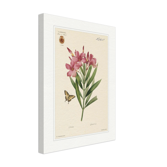 Pierre-Joseph Redouté, floral, flowers, art, wall art, flower prints, botanical, illustration, plants, roses