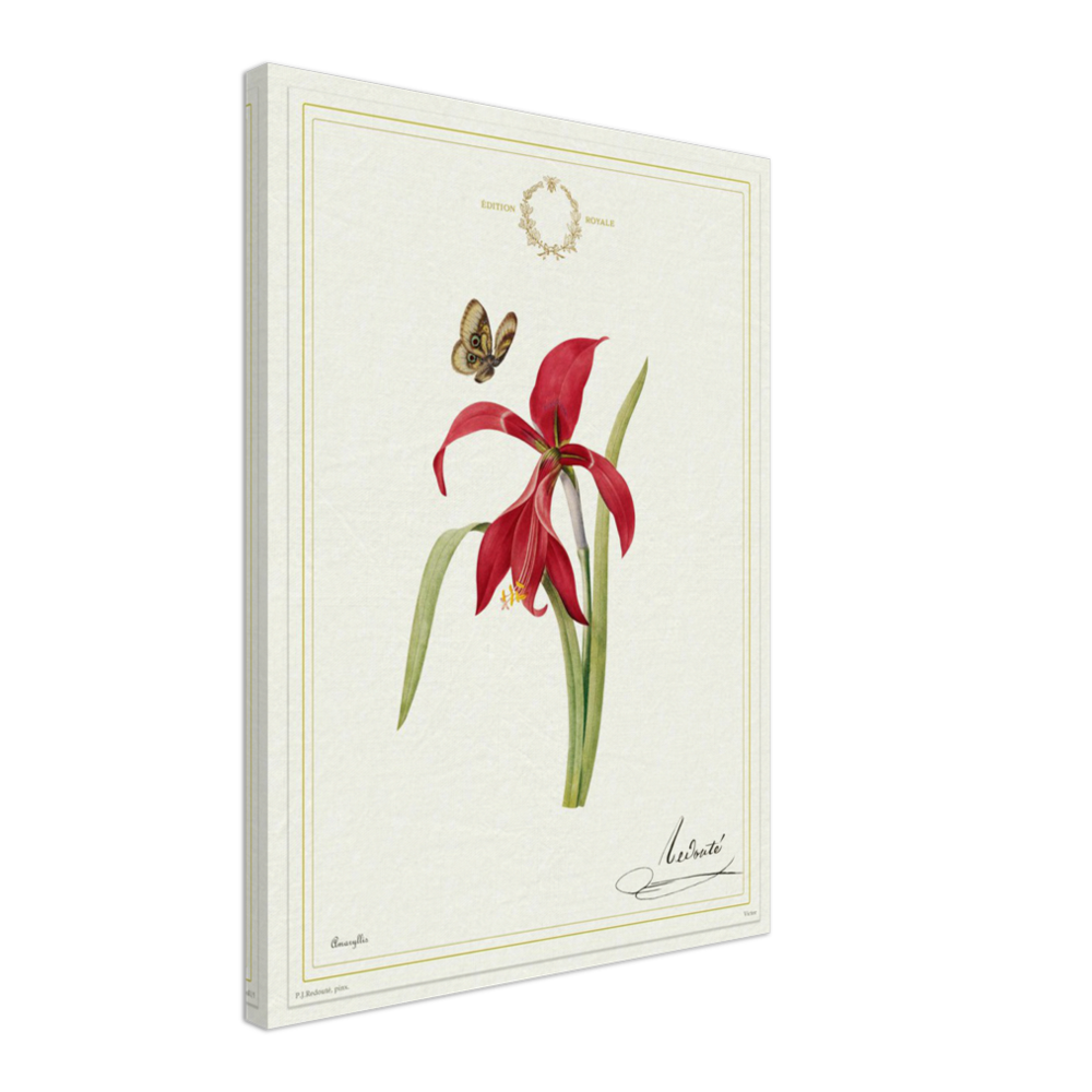 Pierre-Joseph Redouté, floral, flowers, art, wall art, flower prints, botanical, illustration, plants, roses