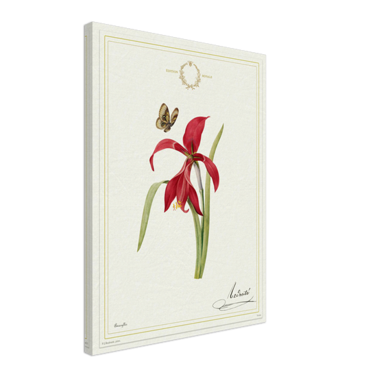 Pierre-Joseph Redouté, floral, flowers, art, wall art, flower prints, botanical, illustration, plants, roses