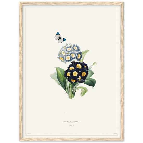 Pierre-Joseph Redouté, floral, flowers, art, wall art, flower prints, botanical, illustration, plants, roses