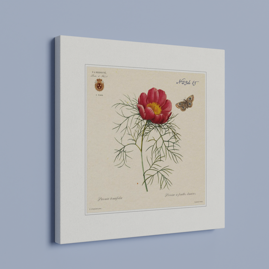 Pierre-Joseph Redouté, floral, flowers, art, wall art, flower prints, botanical, illustration, plants, roses