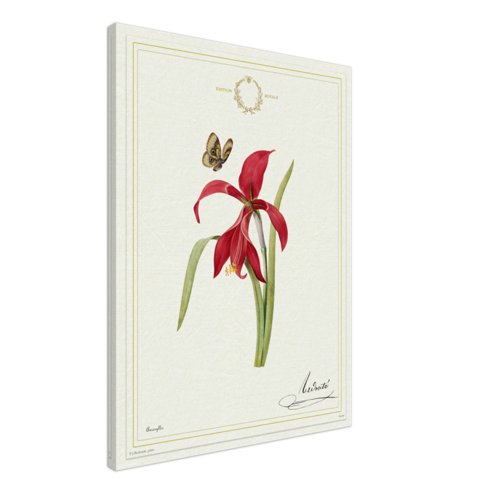 Pierre-Joseph Redouté, floral, flowers, art, wall art, flower prints, botanical, illustration, plants, roses