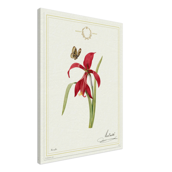 Pierre-Joseph Redouté, floral, flowers, art, wall art, flower prints, botanical, illustration, plants, roses