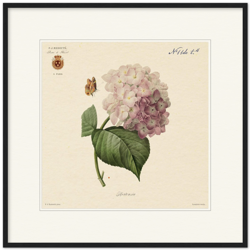 Pierre-Joseph Redouté, floral, flowers, art, wall art, flower prints, botanical, illustration, plants, roses