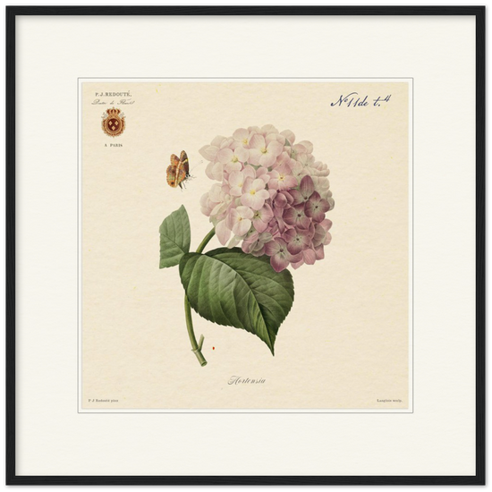 Pierre-Joseph Redouté, floral, flowers, art, wall art, flower prints, botanical, illustration, plants, roses