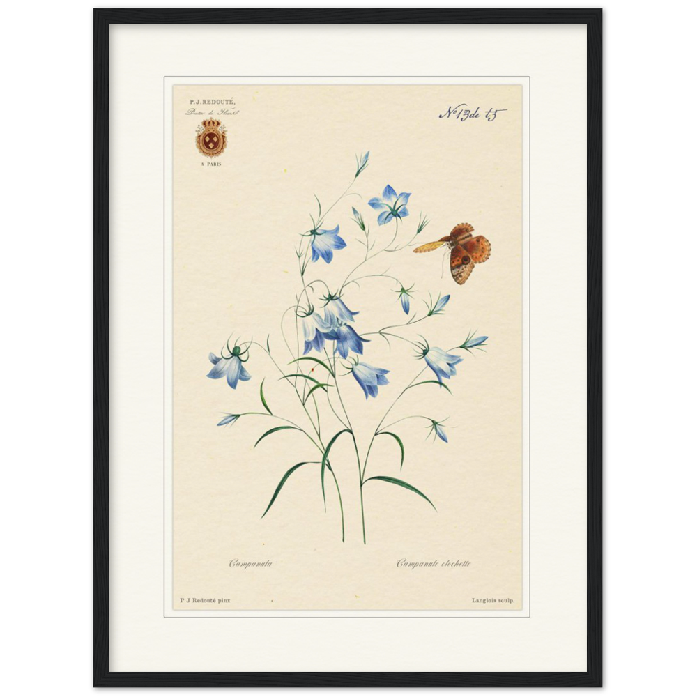 Pierre-Joseph Redouté, floral, flowers, art, wall art, flower prints, botanical, illustration, plants, roses