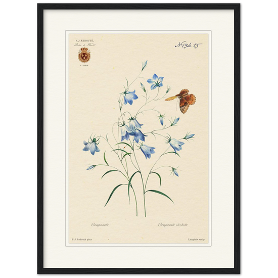 Pierre-Joseph Redouté, floral, flowers, art, wall art, flower prints, botanical, illustration, plants, roses