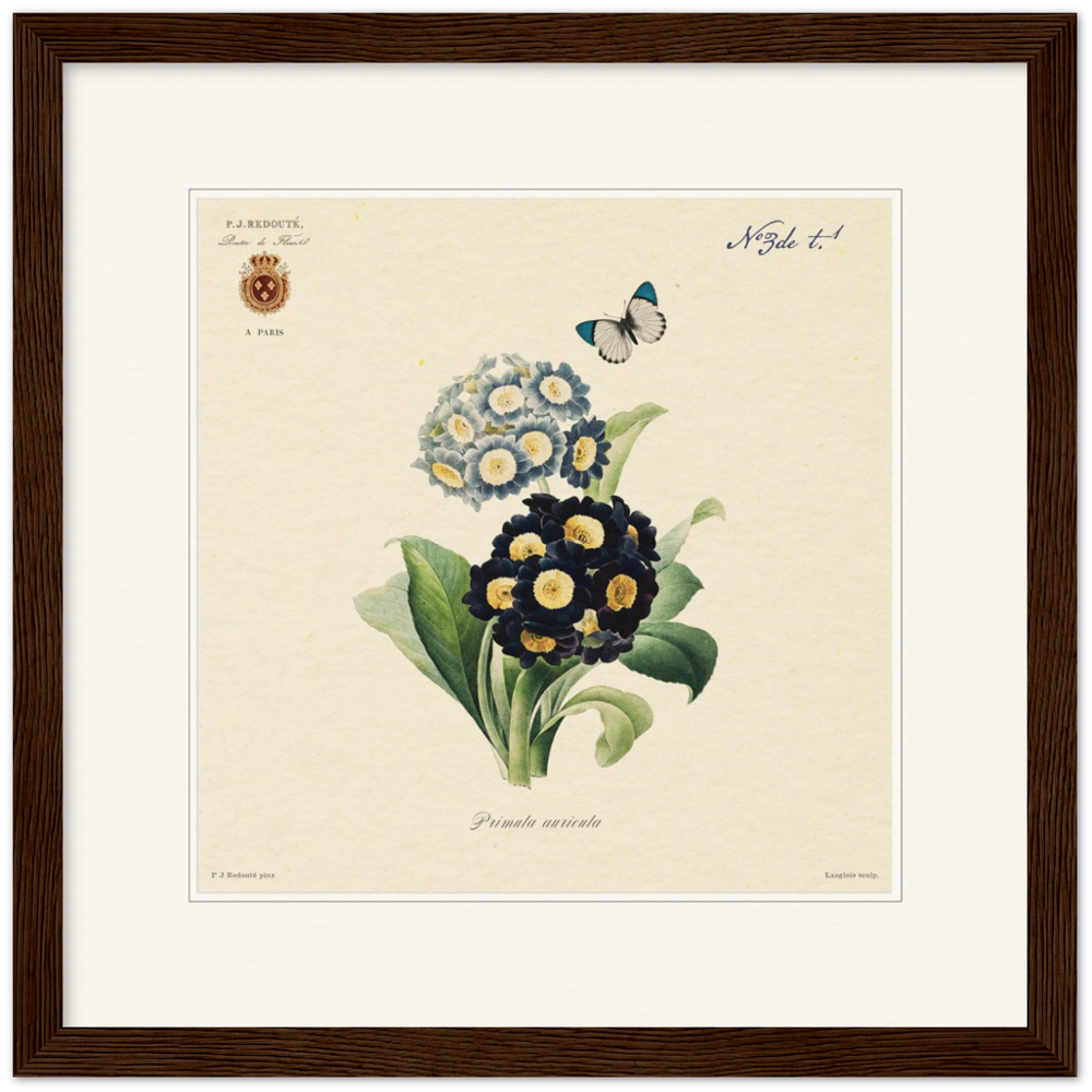 Pierre-Joseph Redouté, floral, flowers, art, wall art, flower prints, botanical, illustration, plants, roses