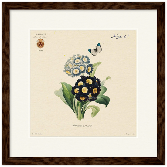 Pierre-Joseph Redouté, floral, flowers, art, wall art, flower prints, botanical, illustration, plants, roses