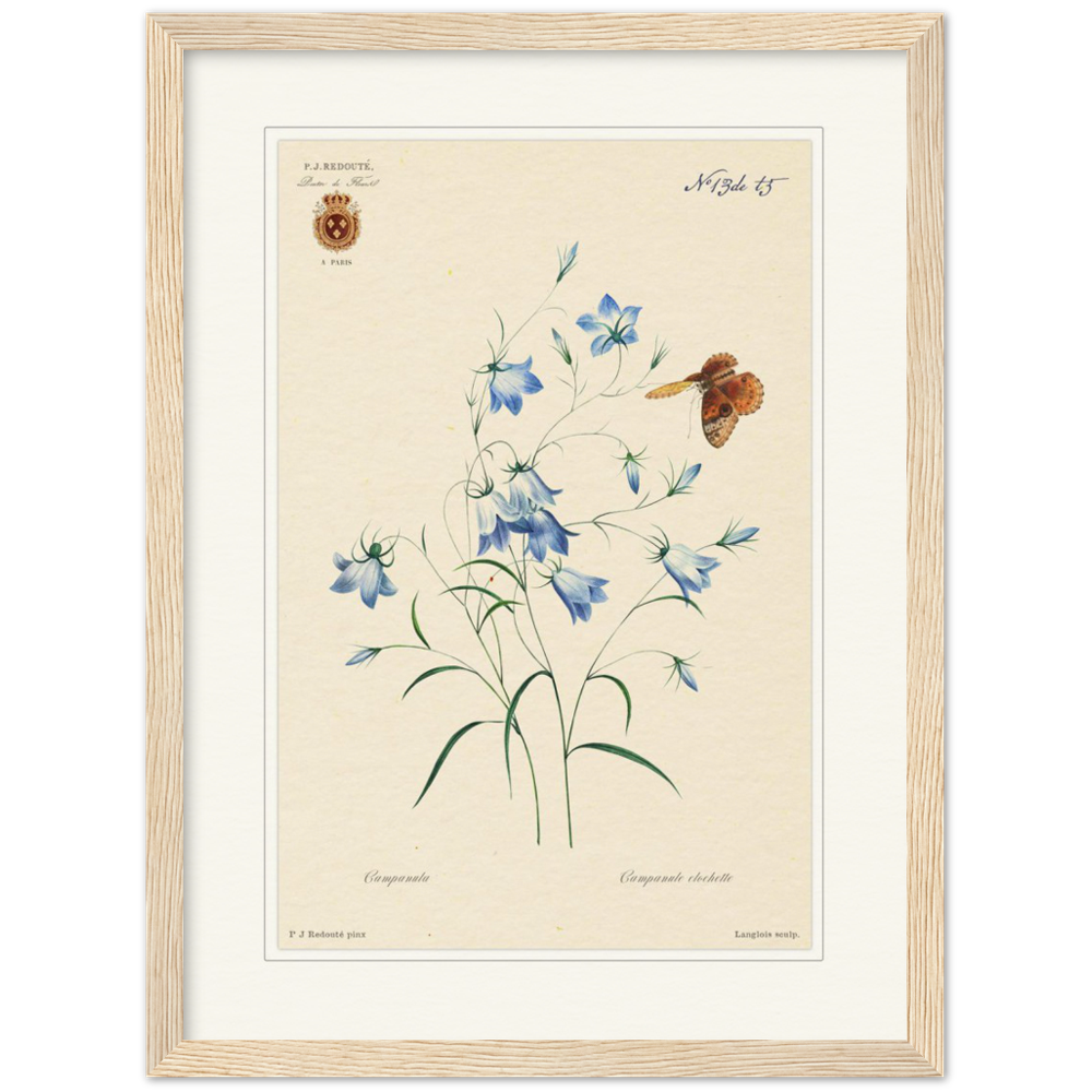 Pierre-Joseph Redouté, floral, flowers, art, wall art, flower prints, botanical, illustration, plants, roses