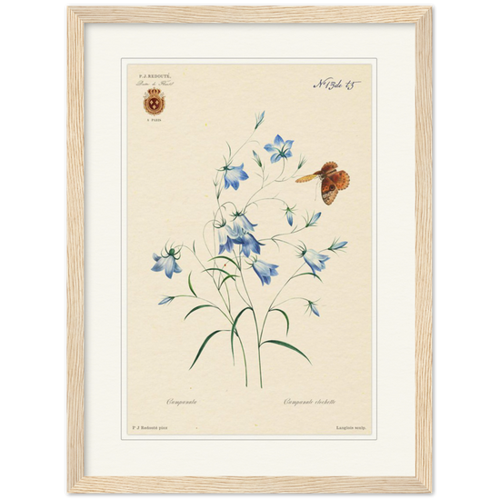 Pierre-Joseph Redouté, floral, flowers, art, wall art, flower prints, botanical, illustration, plants, roses
