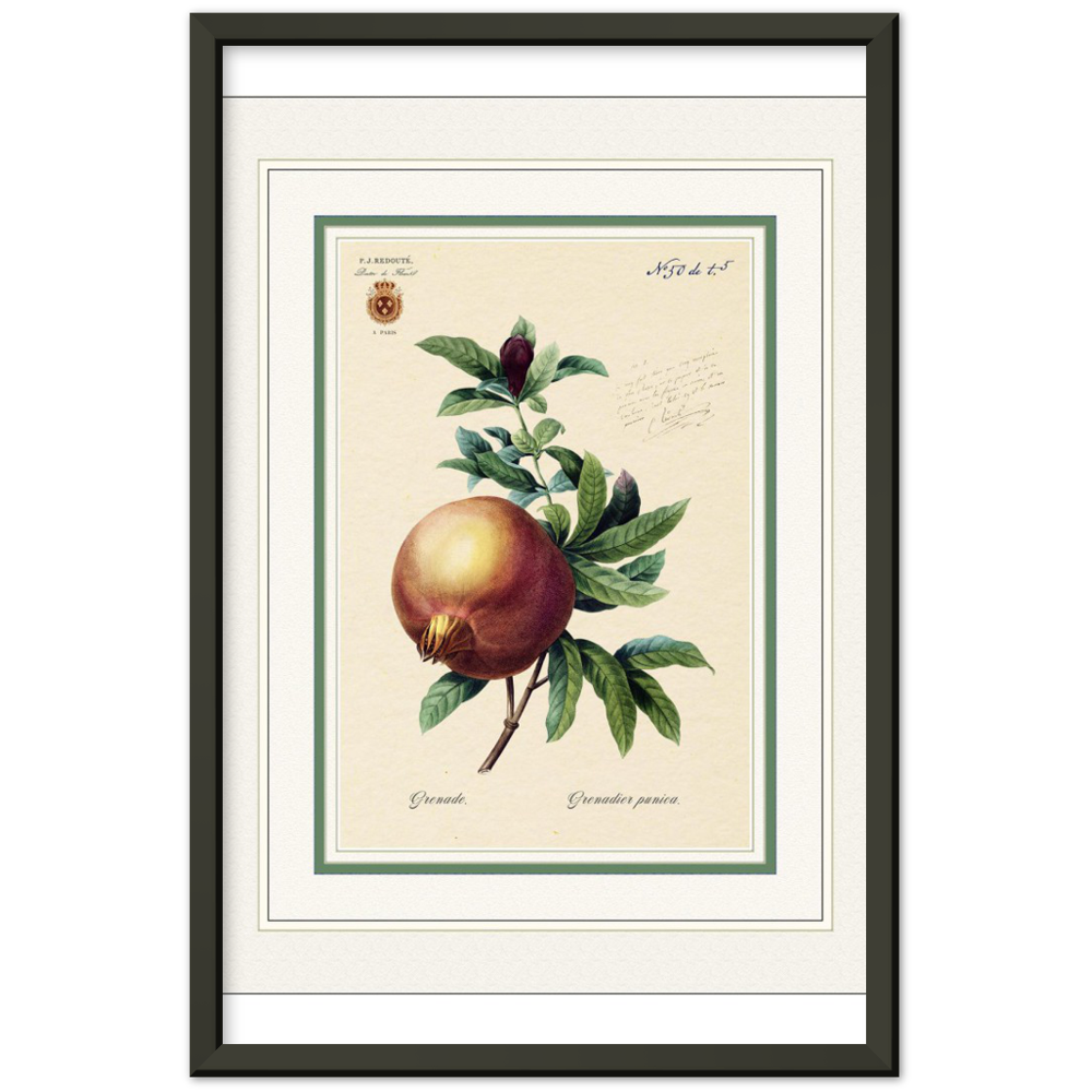 Pomegranate (mat and gold edition)