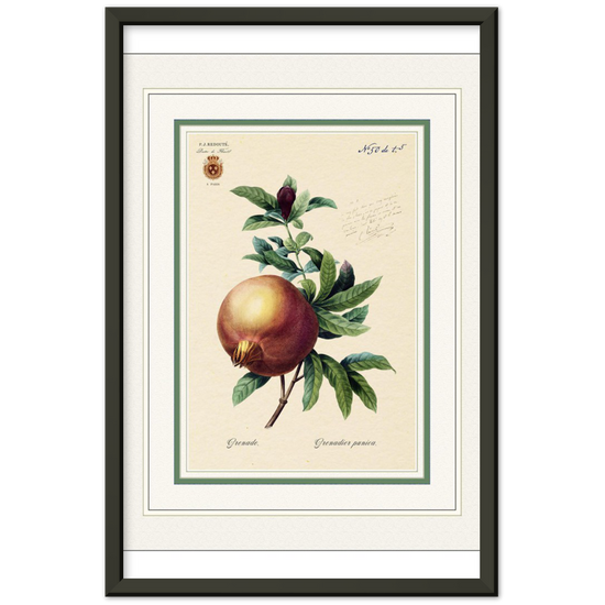 Pomegranate (mat and gold edition)