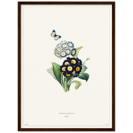 Pierre-Joseph Redouté, floral, flowers, art, wall art, flower prints, botanical, illustration, plants, roses