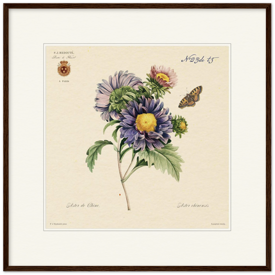 Framed botanical prins, Pierre-Joseph Redouté, floral, flowers, art, wall art, flower prints, botanical, illustration, plants, roses