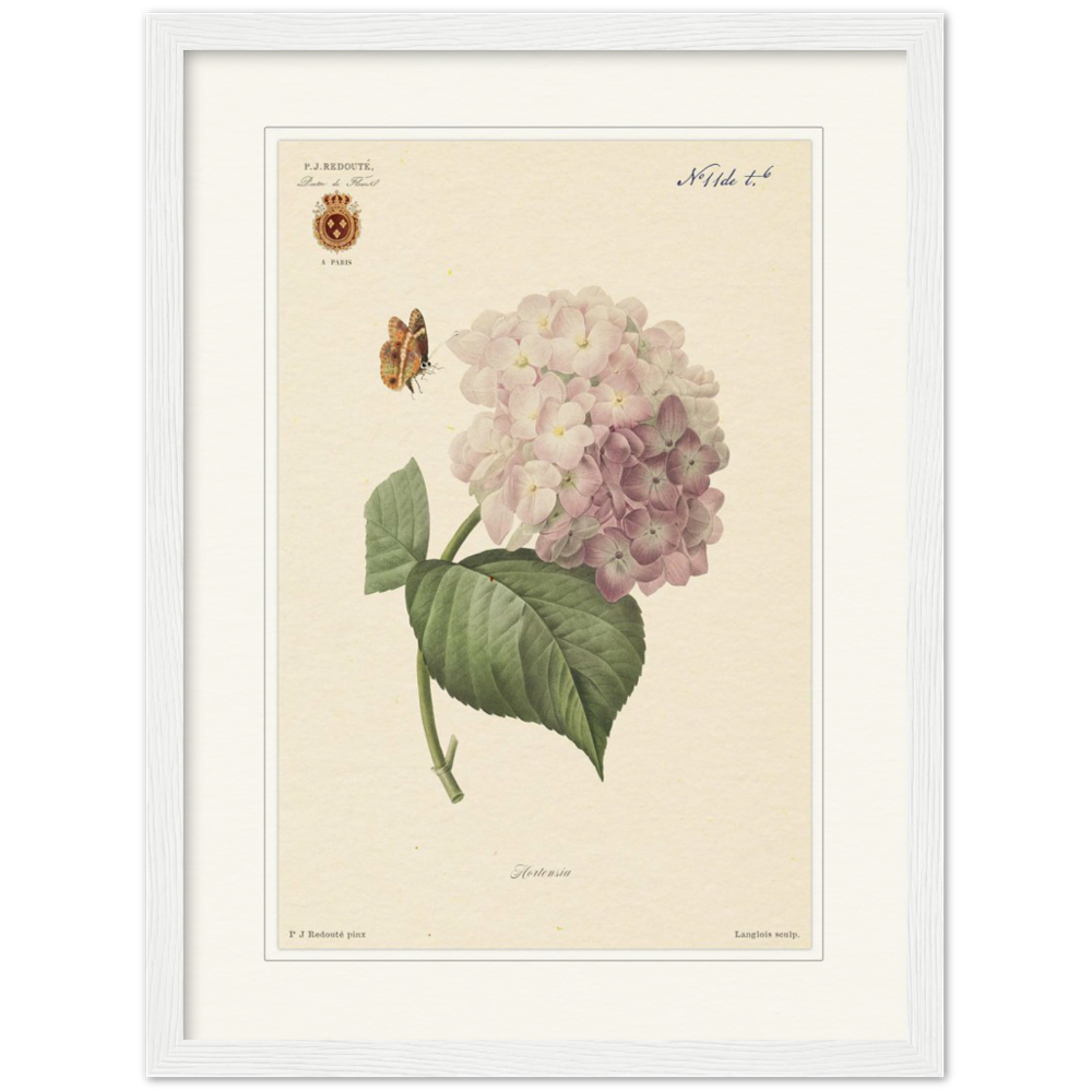 Pierre-Joseph Redouté, floral, flowers, art, wall art, flower prints, botanical, illustration, plants, roses