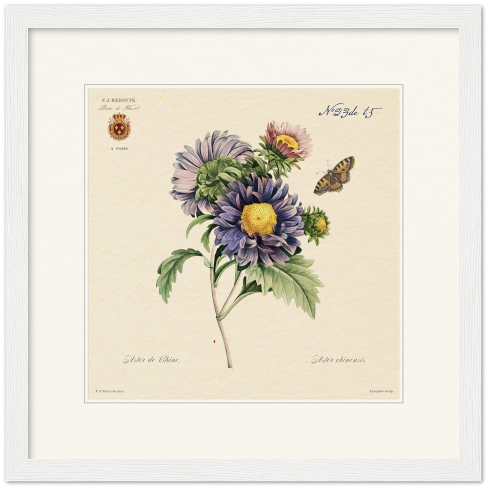 Pierre-Joseph Redouté, floral, flowers, art, wall art, flower prints, botanical, illustration, plants, roses