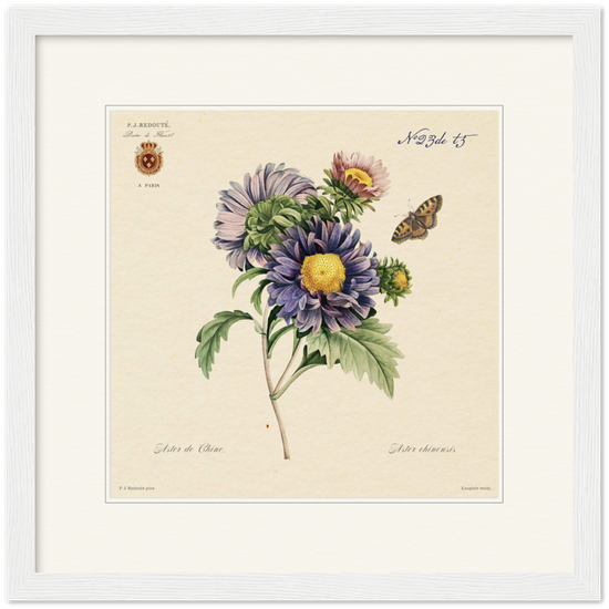 Pierre-Joseph Redouté, floral, flowers, art, wall art, flower prints, botanical, illustration, plants, roses