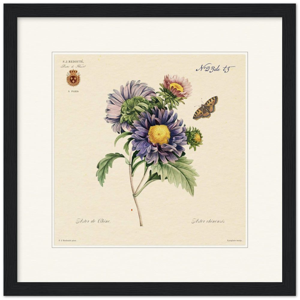 Pierre-Joseph Redouté, floral, flowers, art, wall art, flower prints, botanical, illustration, plants, roses