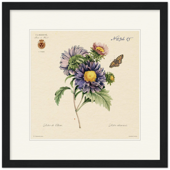 Pierre-Joseph Redouté, floral, flowers, art, wall art, flower prints, botanical, illustration, plants, roses