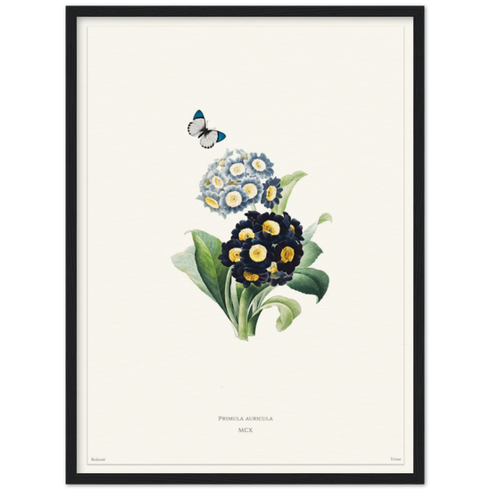 Pierre-Joseph Redouté, floral, flowers, art, wall art, flower prints, botanical, illustration, plants, roses