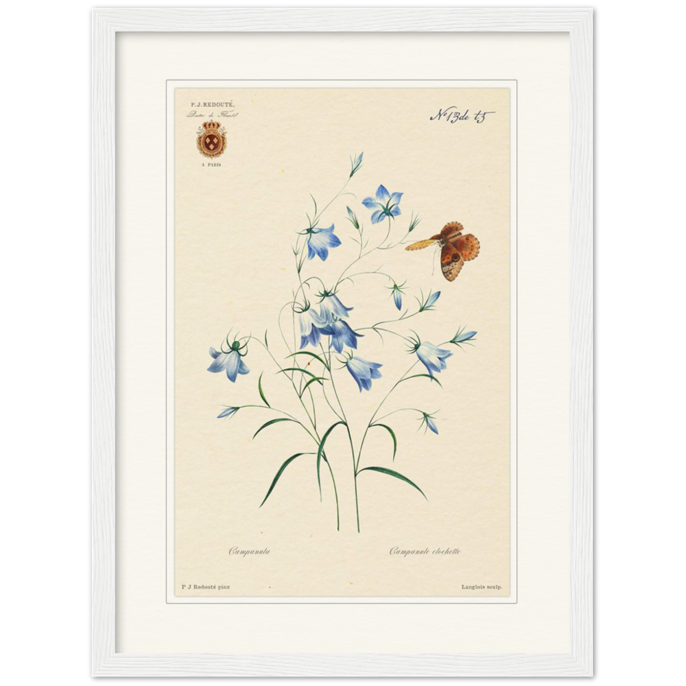 Pierre-Joseph Redouté, floral, flowers, art, wall art, flower prints, botanical, illustration, plants, roses