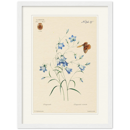 Pierre-Joseph Redouté, floral, flowers, art, wall art, flower prints, botanical, illustration, plants, roses