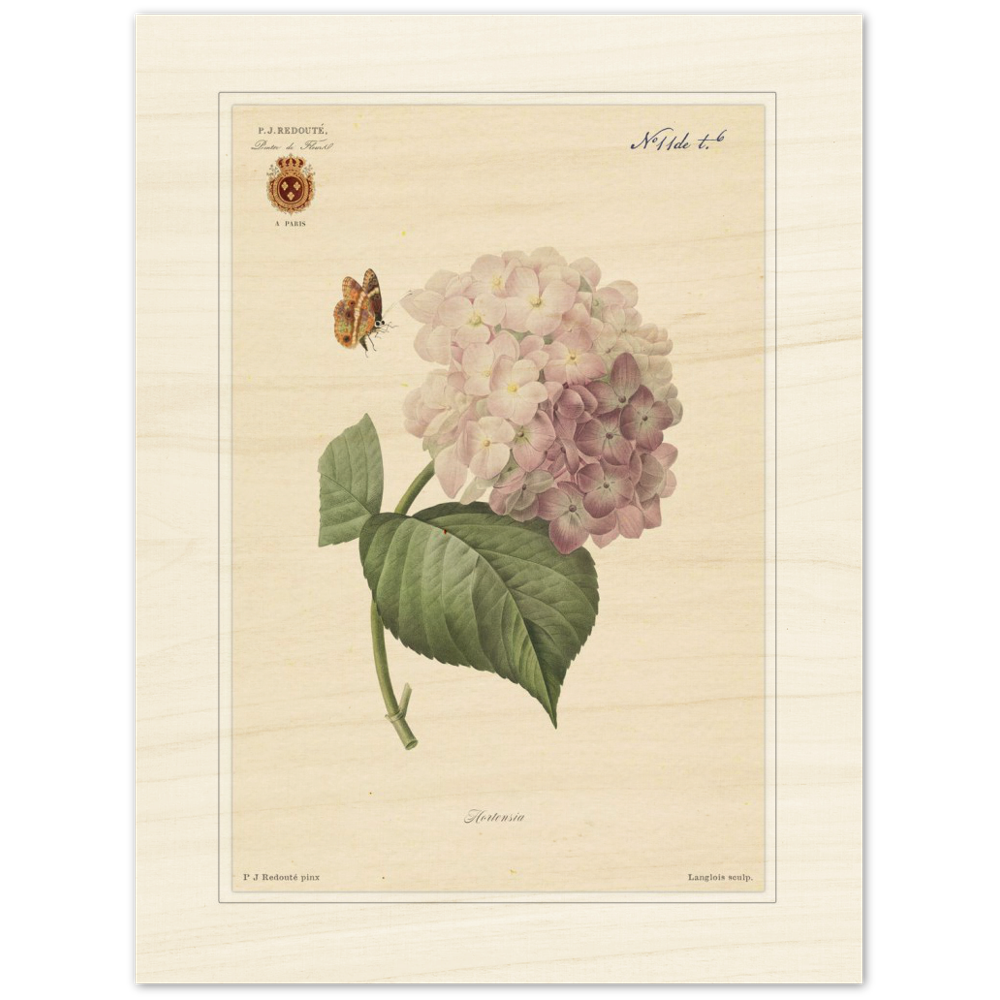 Pierre-Joseph Redouté, floral, flowers, art, wall art, flower prints, botanical, illustration, plants, roses