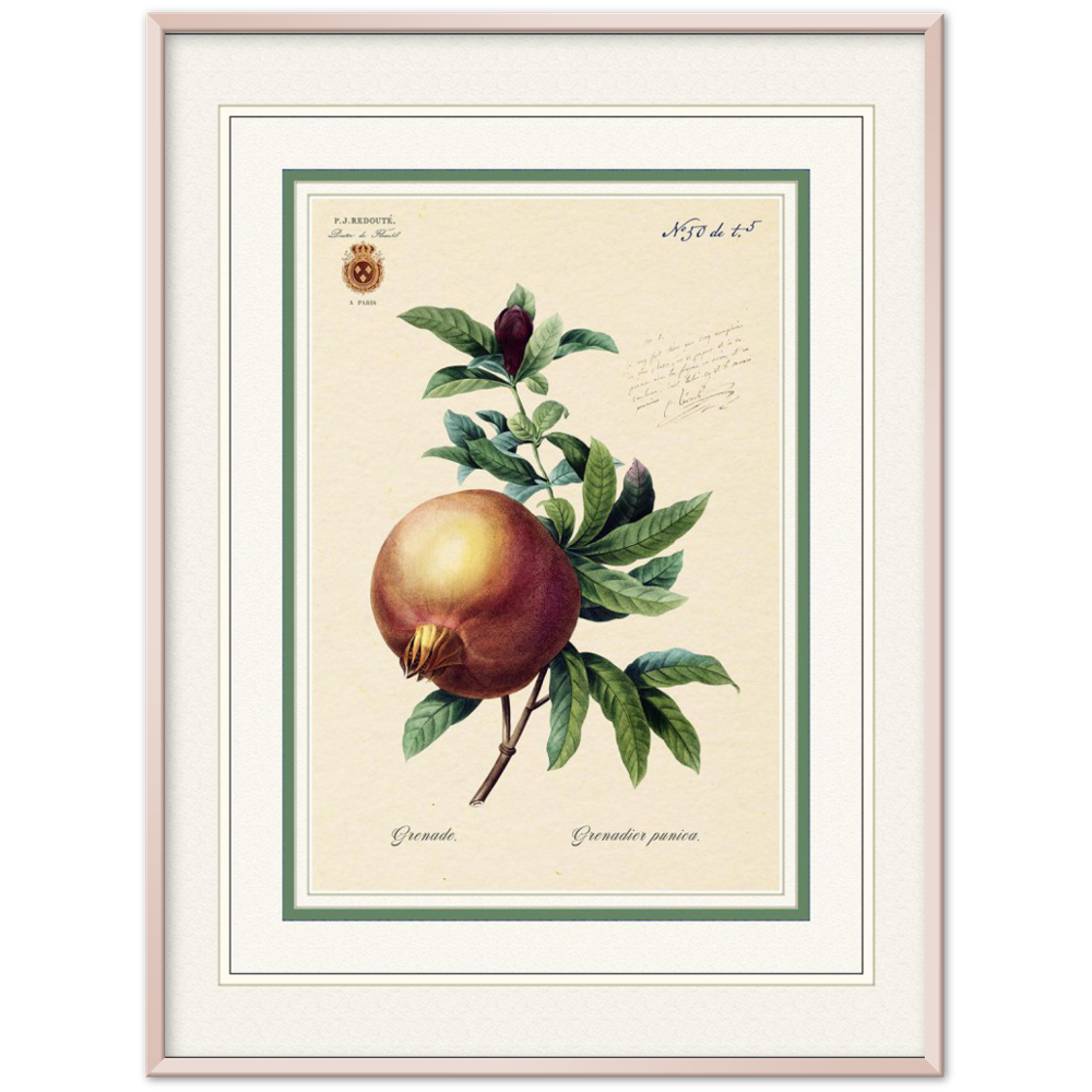 Pomegranate (mat and gold edition)
