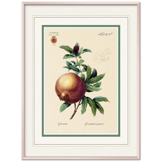 Pomegranate (mat and gold edition)