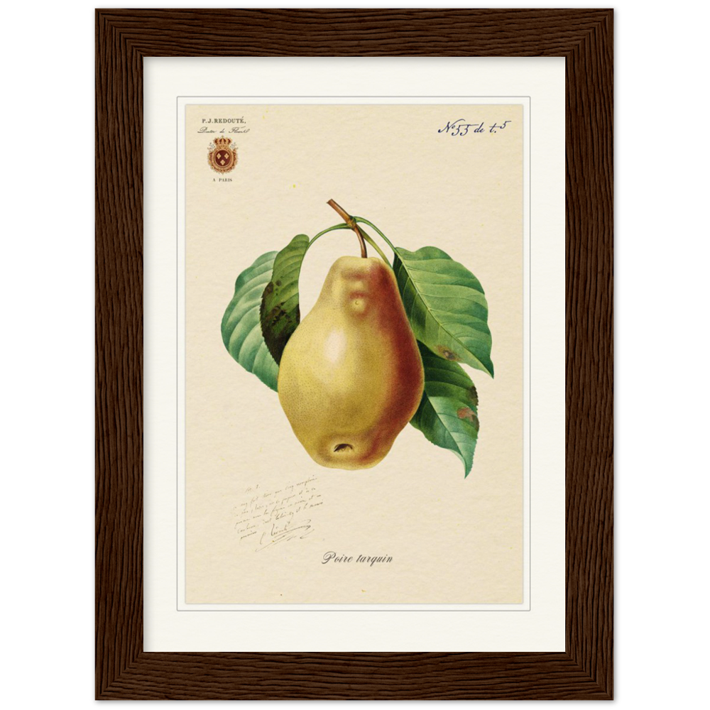 Tarquin Pear