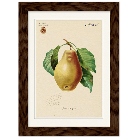 Tarquin Pear