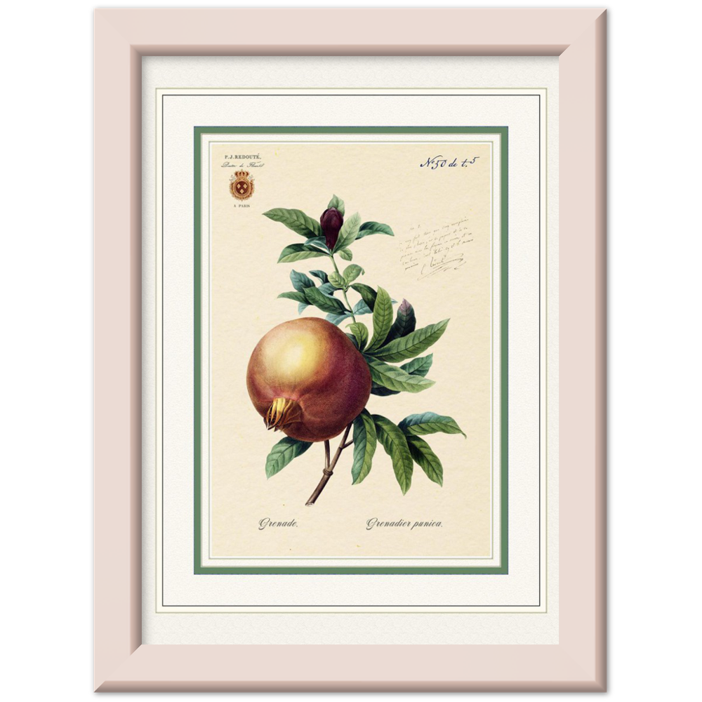 Pomegranate (mat and gold edition)