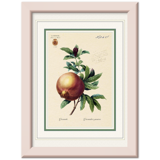 Pomegranate (mat and gold edition)