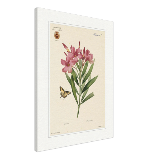 Pierre-Joseph Redouté, floral, flowers, art, wall art, flower prints, botanical, illustration, plants, roses