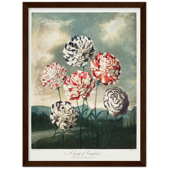 Pierre-Joseph Redouté, floral, flowers, art, wall art, flower prints, botanical, illustration, plants, roses