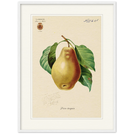 Tarquin Pear