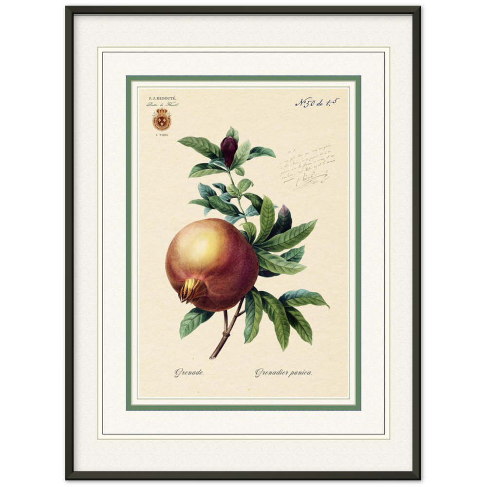 Pomegranate (mat and gold edition)