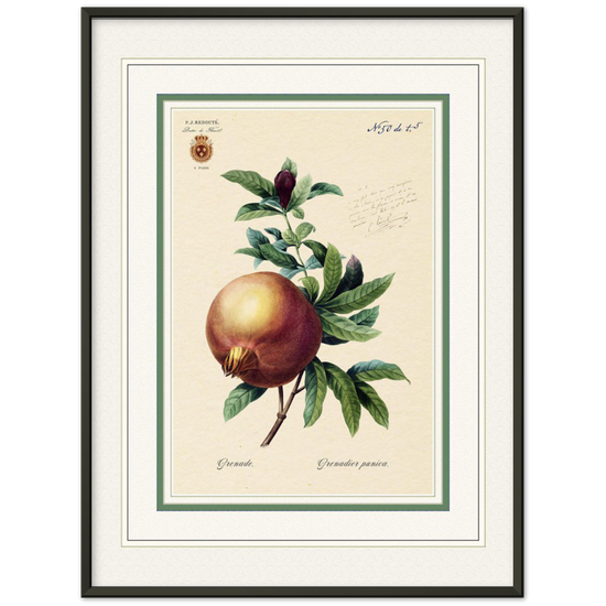 Pomegranate (mat and gold edition)